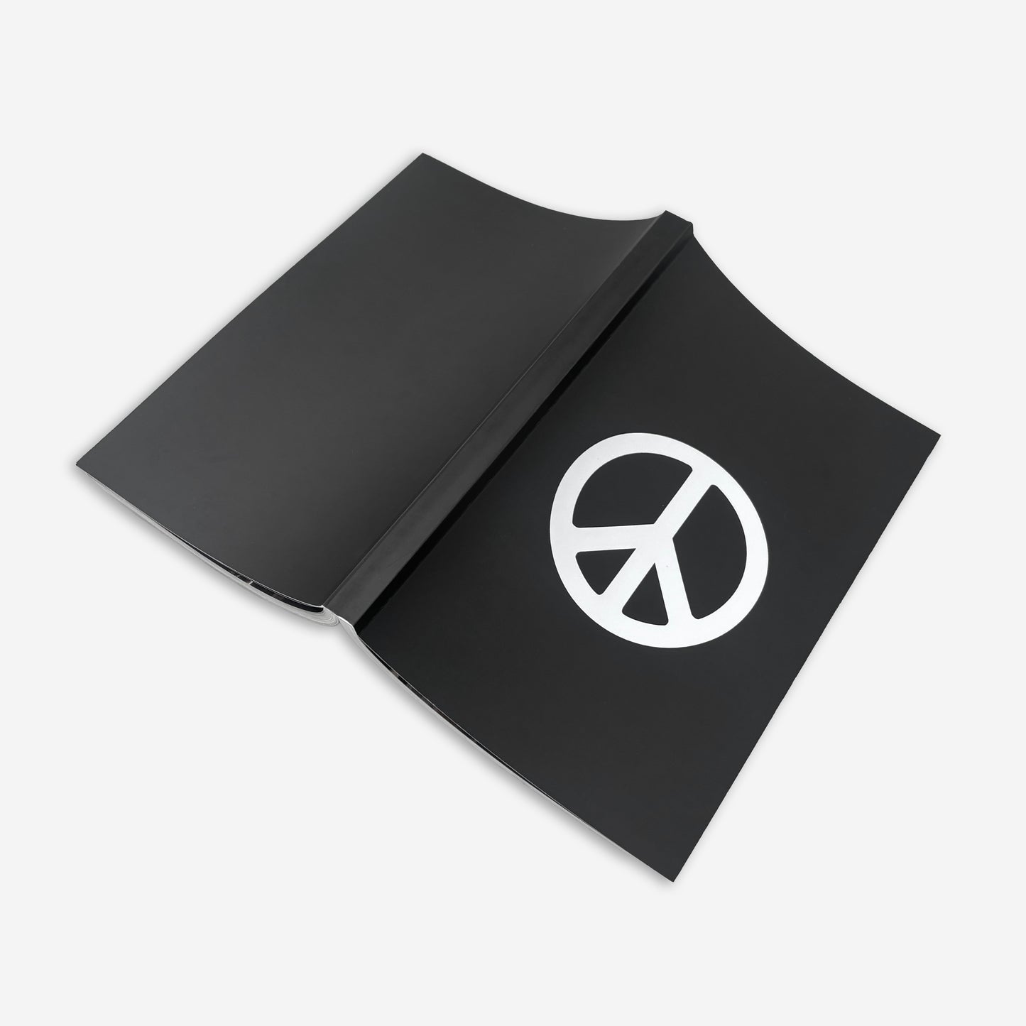 Untitled photo book